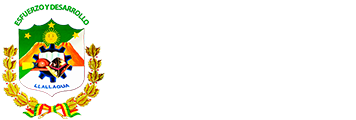 logo llallagua